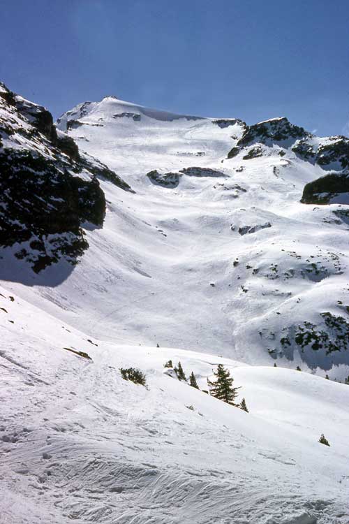 Monte Nevoso